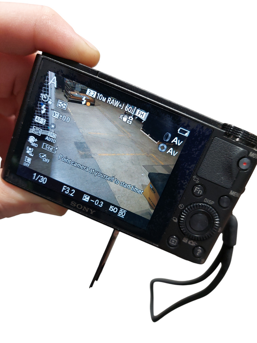 Sony AVC HD 20.2 MegaPixels Cyber-Shot Model: DSC-RX100 =