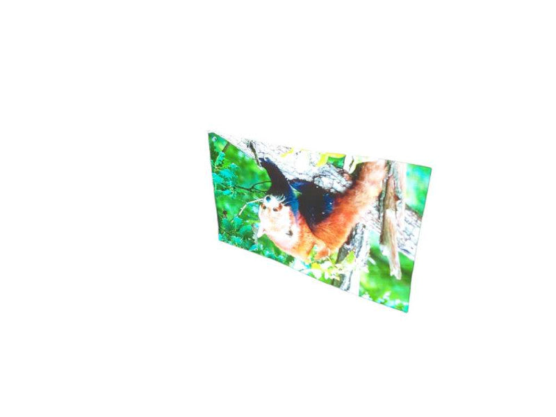 Panasonic DLP Projector Model: PT-DZ570U â