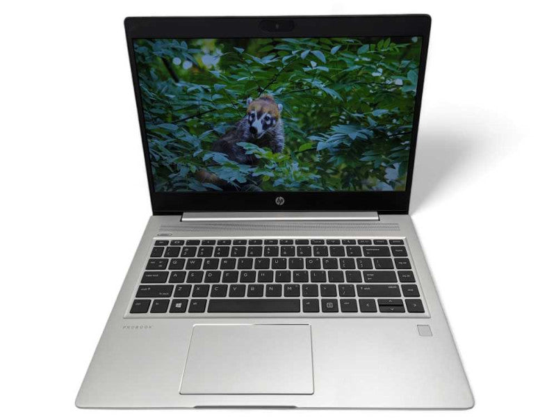 HP ProBook 445 G7 with Ryzen 3 4300U @2.70Ghz 8GB RAM 7 256GB NVMe  -