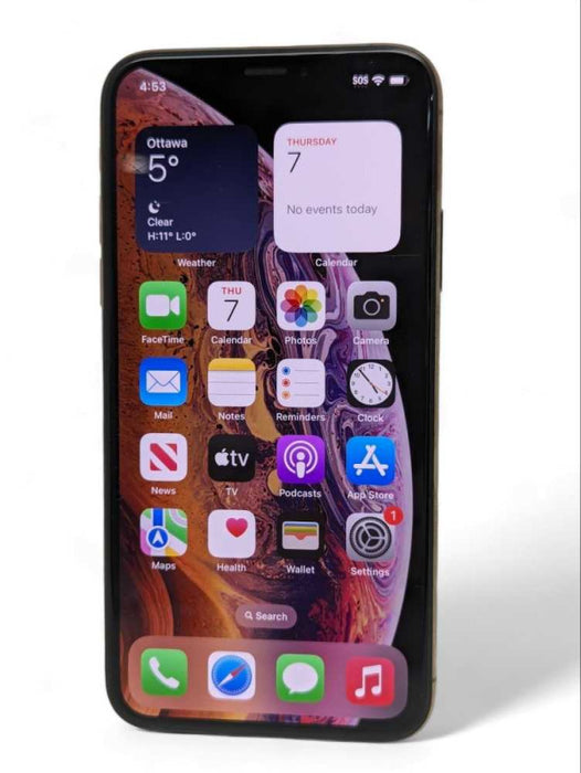 Apple iPhone Xs 256GB UNLOCKED -