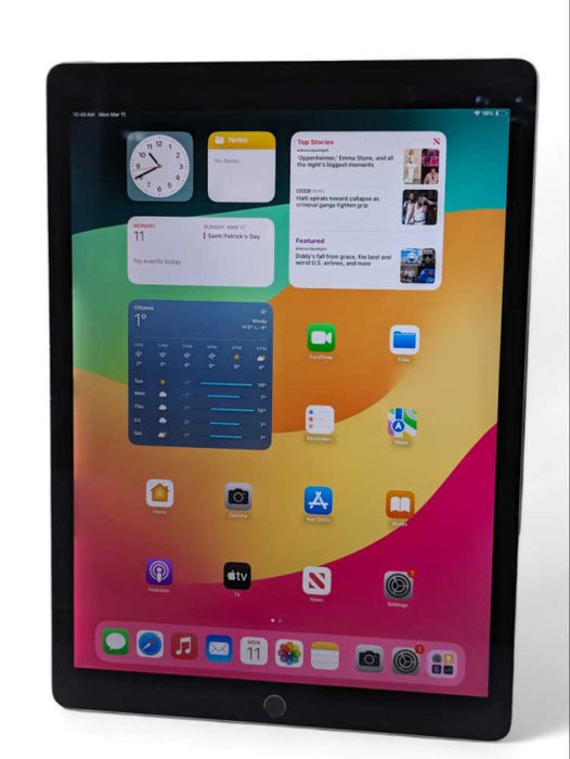 Apple iPad PRO (12.9 inch) (2nd gen) 256GB WiFi+Cellular UNLOCKED plz READ  -