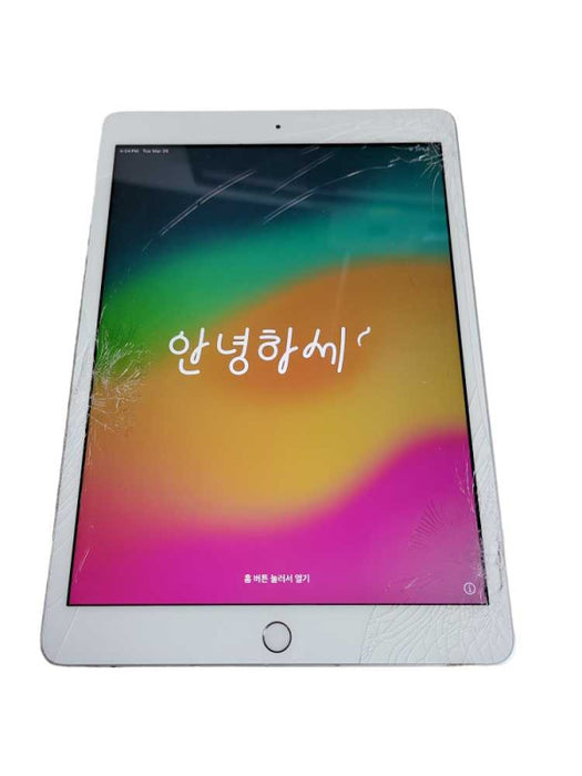 Apple iPad 7th Gen (A2197) - READ Î