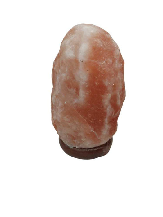 Salt Rock Decrotive Wood Base ( No Light )  =