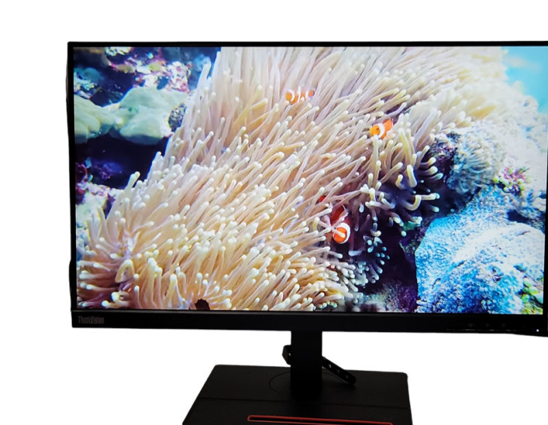 Lenovo ThinkVision P24h-20 24\\" QHD Wide IPS Monitor TYPE C HDMI DP RJ-45 Speaker Q_