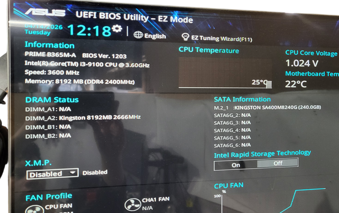 Custom PC i3-9100 CPU | 8GB DDR4 | 240GB m.2 | Prime B365 M-A