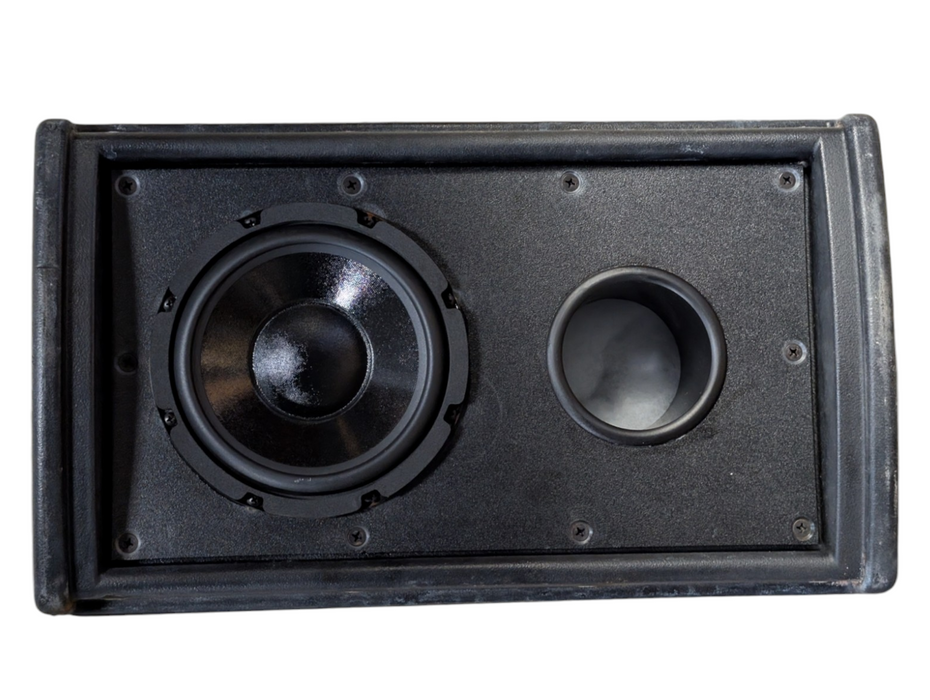 Danley Sound Labs nano sub Subwoofer