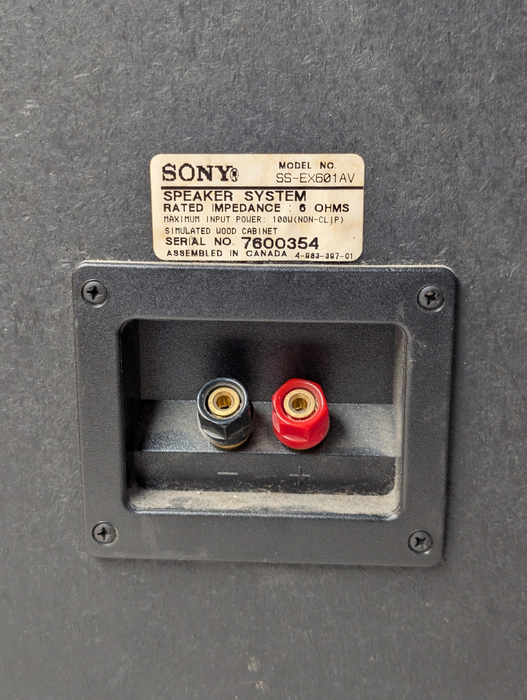 SONY SS-EX601AV Speaker System