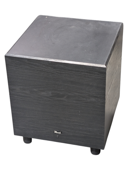 Reel Acoustics RESW-12 Dynamically Tight Power Subwoofer PLEASE READ