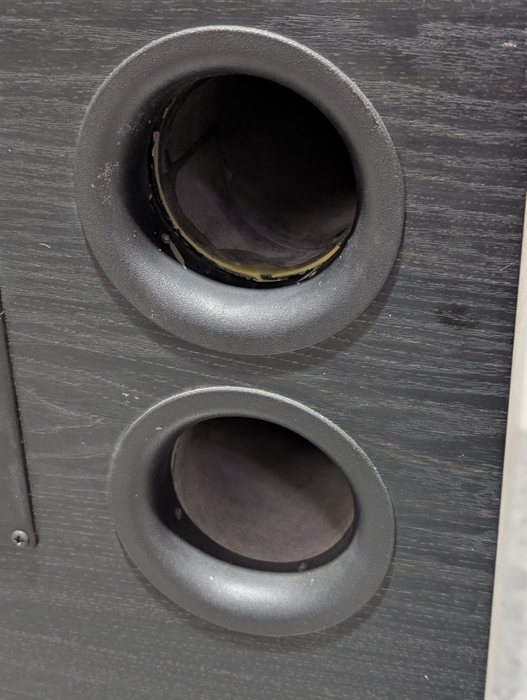 Reel Acoustics RESW-12 Dynamically Tight Power Subwoofer PLEASE READ