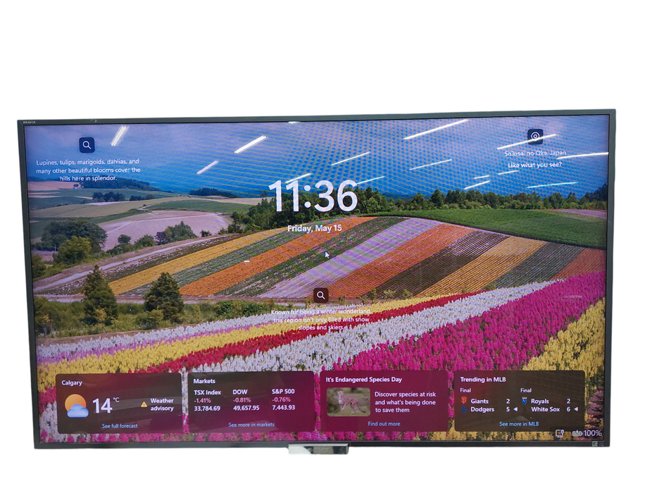 Sony 55" LCD TV Bravia Model: KDL-55W900A