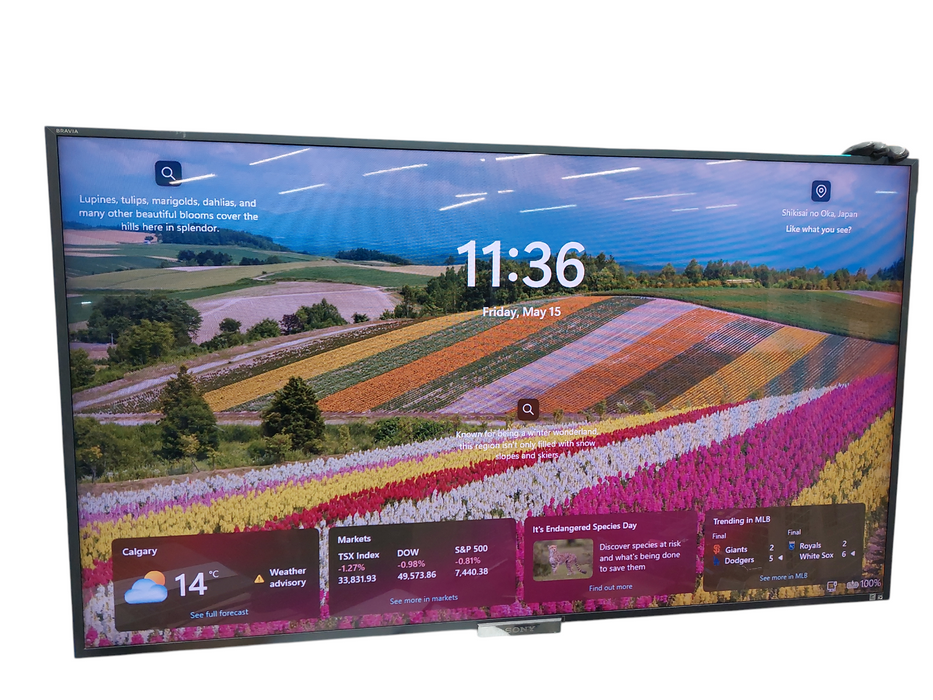 Sony 55" LCD TV Bravia Model: KDL-55W900A