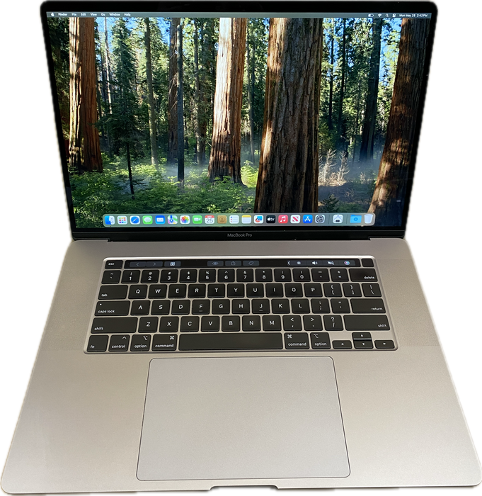 Apple MacBook Pro 16" 2019 i9-9880H Radeon Pro 5500 GPU 16GB RAM 1TB SSD READ