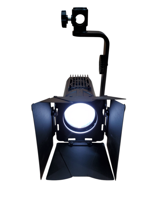 Godox S30 Focusing LED Light *READ*