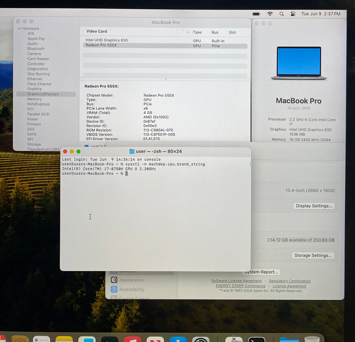 Apple MacBook Pro 15" 2018 i7-8750H Radeon Pro 555X GPU 16GB RAM 256GB SSD READ