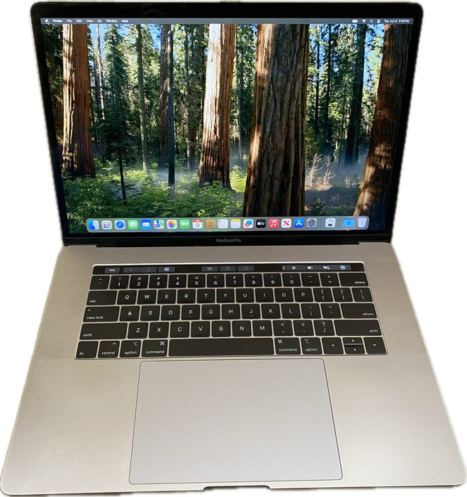 Apple MacBook Pro 15" 2018 i7-8750H Radeon Pro 555X GPU 16GB RAM 256GB SSD READ!