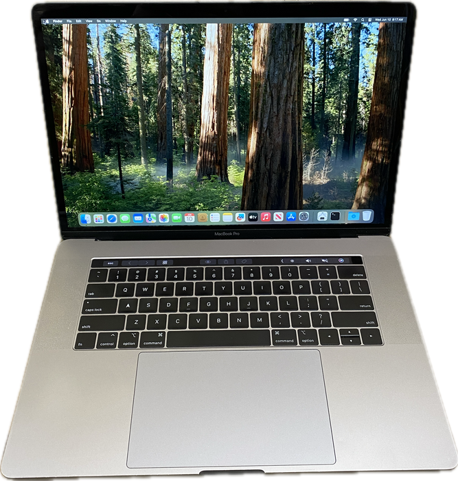 Apple MacBook Pro 15" 2019 i7-9750H Radeon Pro 560X GPU 32GB RAM 1TB SSD READ!