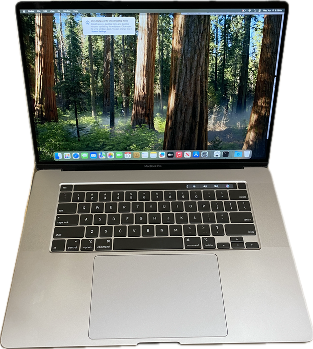 Apple MacBook Pro 16" 2019 i7-9750H Radeon Pro 5500M GPU 32GB RAM 1TB SSD READ