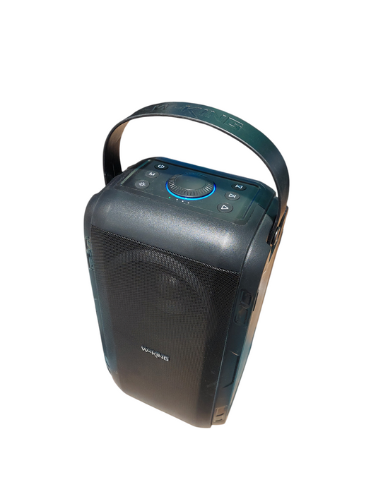 W-King Party Bluetooth Speaker