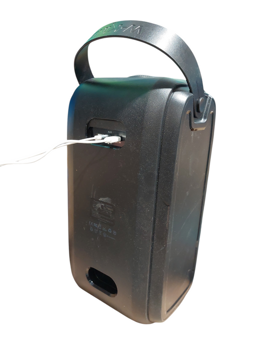 W-King Party Bluetooth Speaker