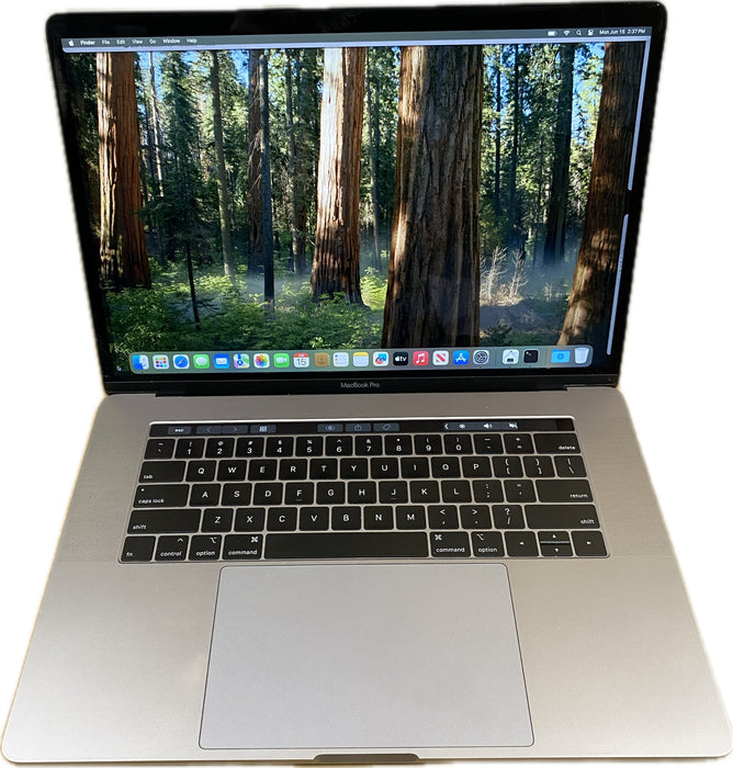 Apple MacBook Pro 15" 2019 i7-9750H Radeon Pro 560X GPU 32GB RAM 1TB SSD READ!