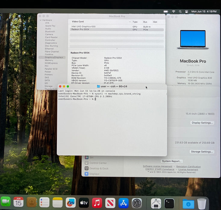 Apple MacBook Pro 15" 2018 i7-8750H Radeon Pro 555X GPU 16GB RAM 256GB SSD READ!