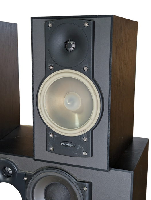 Paradigm Surround Sound Speakers Setup Please Read