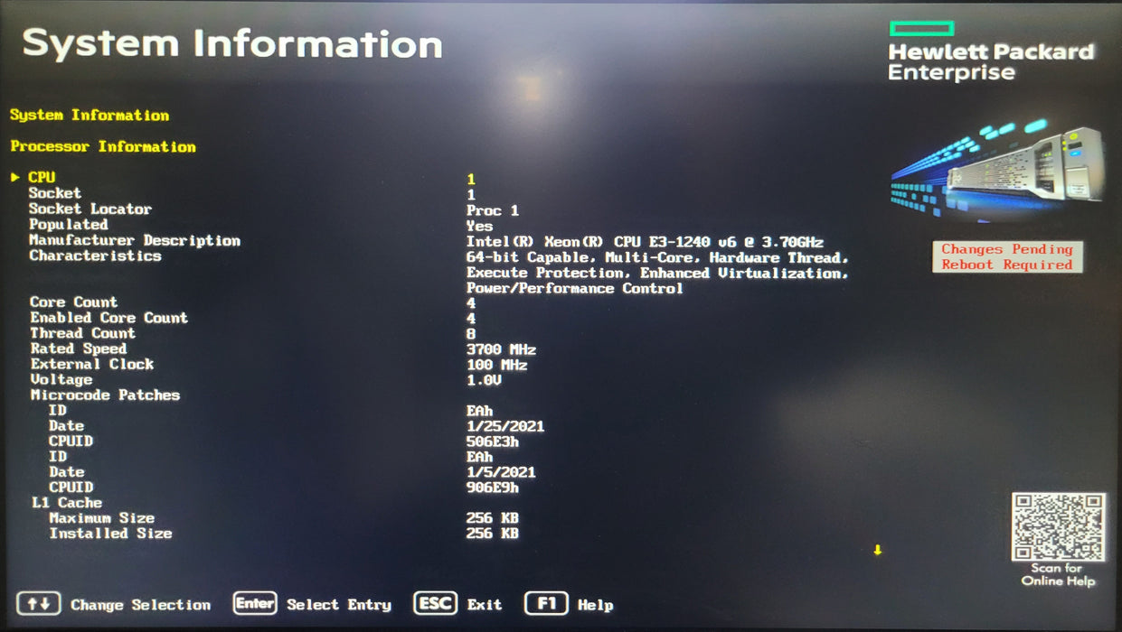 HP ProLiant DL20 Gen9 | 1x Xeon E3-1240 v6 @ 3.70GHz 16GB DDR4 | NO HDD