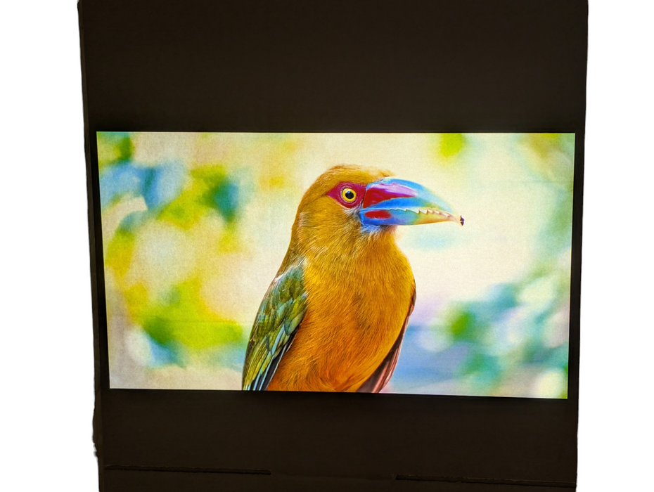 NEC P502HL-2 Full HD HDMI Laser Projector 5000 ANSI lumens