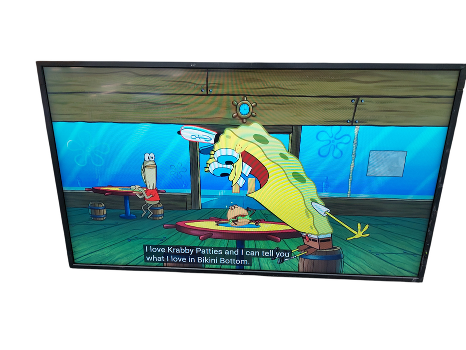 NEC 55" LCD Monitor MultiSync V552