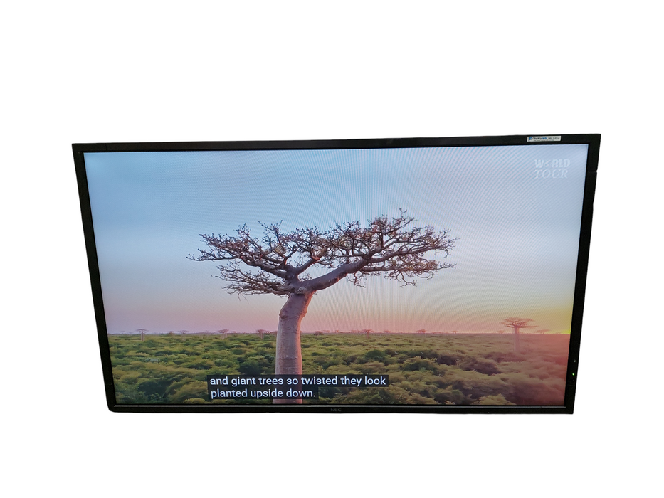 NEC 46" LCD Monitor MultiSync X462S