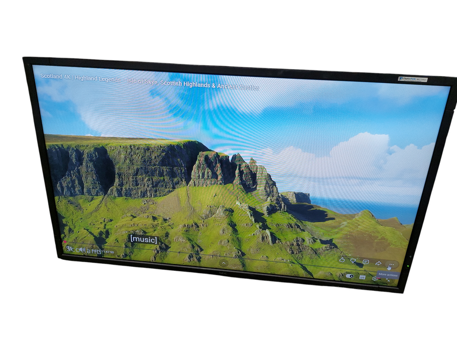 NEC 46" LCD Monitor MultiSync X462S