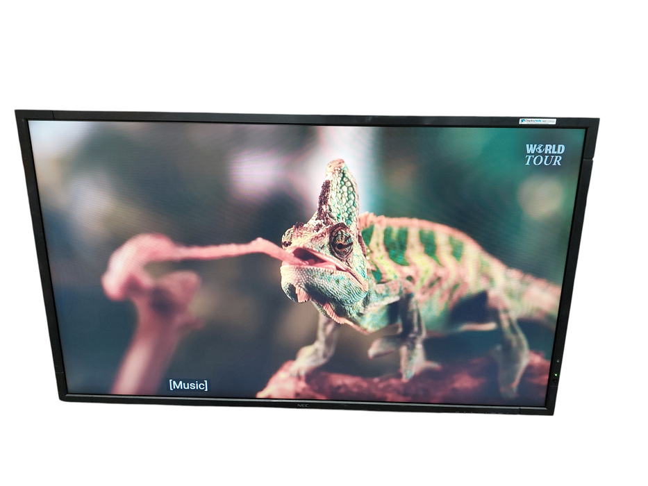 NEC 46" LCD Monitor MultiSync X462S