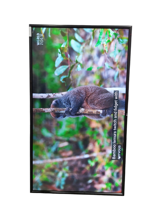 LG Flatron 84WS70MS-B   84" Screen  2015
