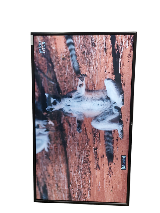 LG Flatron 84WS70MS-B   84" Screen  2015