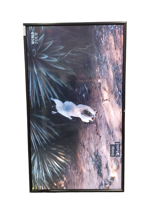LG Flatron 84WS70MS-B   84" Screen  2015