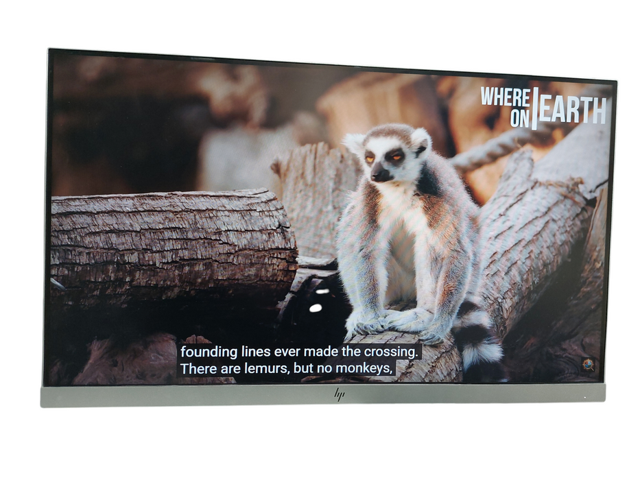 HP 23" LCD Monitor E233