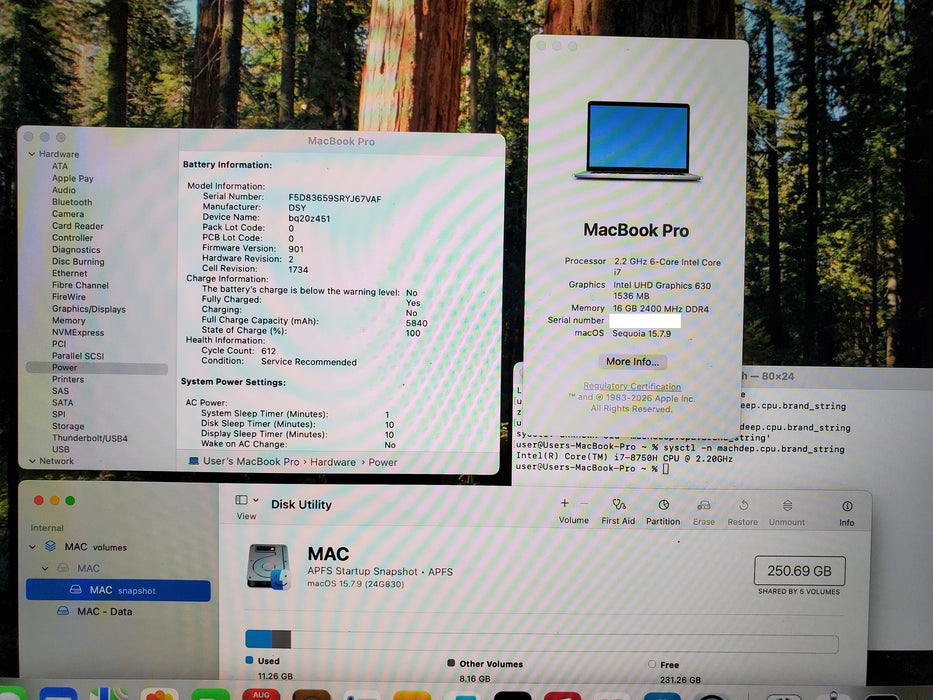 Apple MacBook Pro 2018 15" A1990 i7-8750H 16GB RAM 250GB SSD NO ADAPTER READ