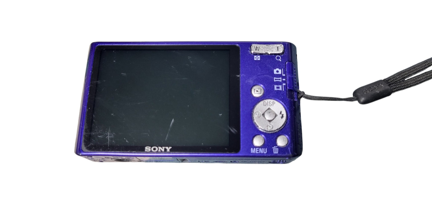 Sony Cyber-shot DSC-W610 Compact Digital Camera 14.1MP Silver 4x Zoom | READ