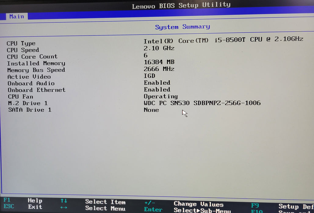 Lenovo ThinkCentre M720q, Core i5-8500T 2.10GHz 16GB DDR4 256GB M.2 SSD