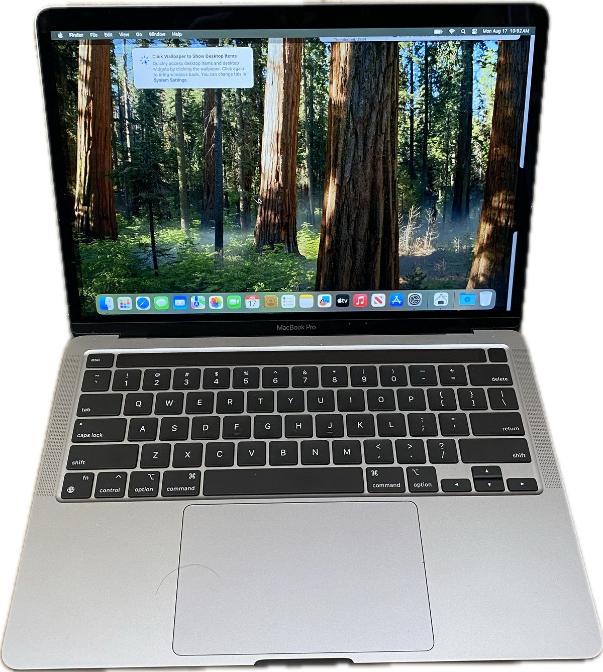 Apple MacBook Pro 13