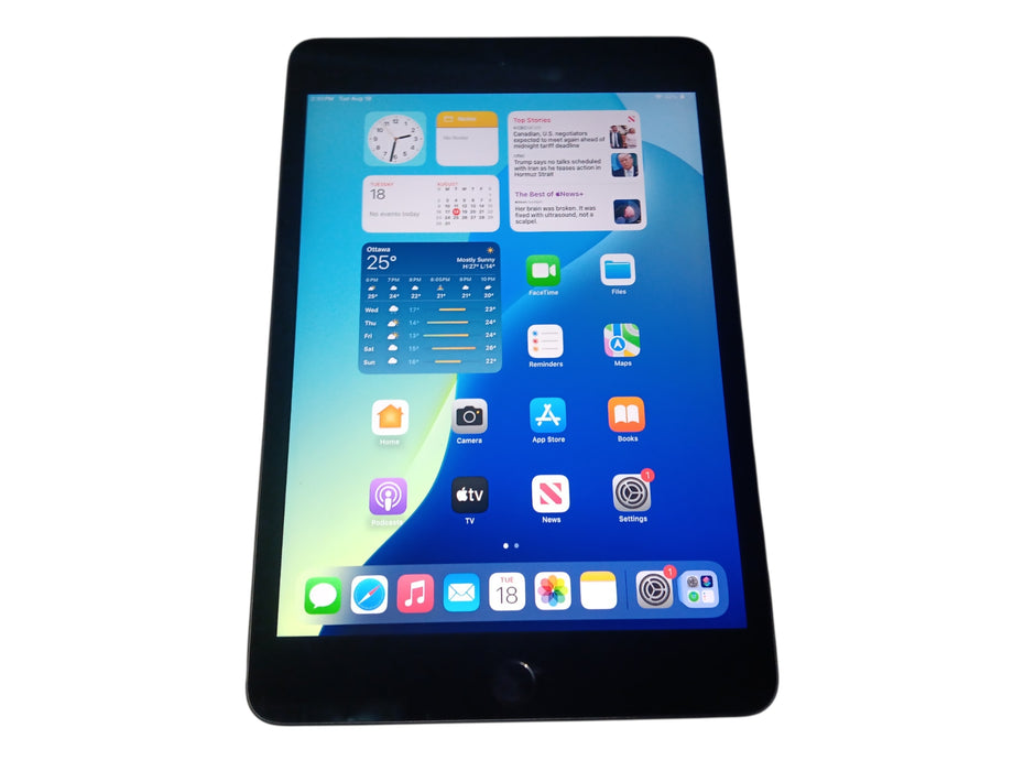 Apple iPad mini 5th Gen - 64GB - Space Gray [A2126]