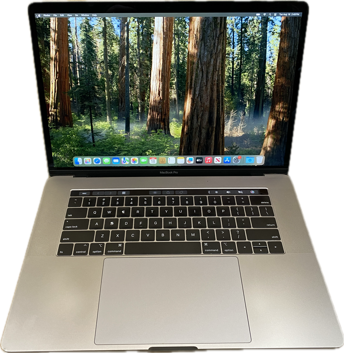 Apple MacBook Pro 15" 2019 i7-9750H Radeon Pro 555X GPU 16GB RAM 512GB SSD READ!