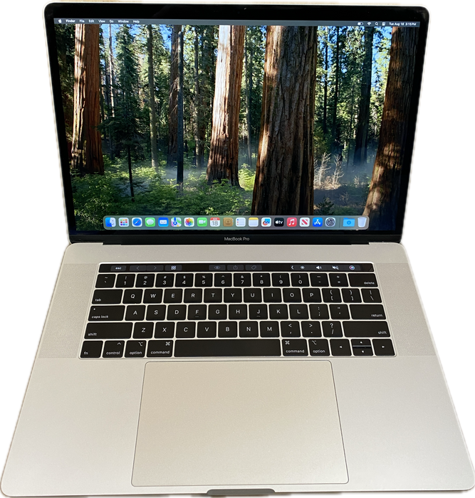 Apple MacBook Pro 15" 2018 i7-8750H Radeon Pro 555X GPU 16GB RAM 256GB SSD READ