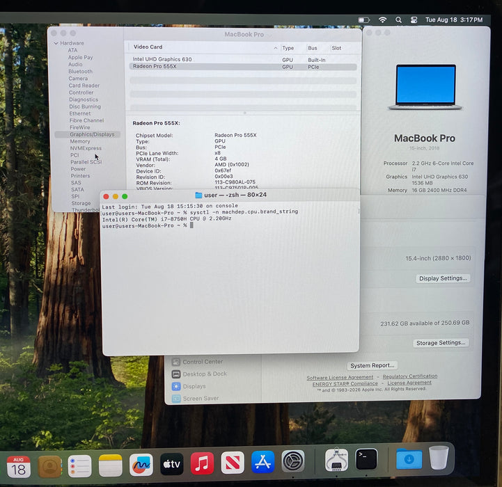 Apple MacBook Pro 15" 2018 i7-8750H Radeon Pro 555X GPU 16GB RAM 256GB SSD READ