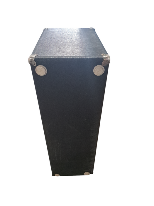 Traynor YT-15 Super Twin 15 Speaker Cabinet | READ