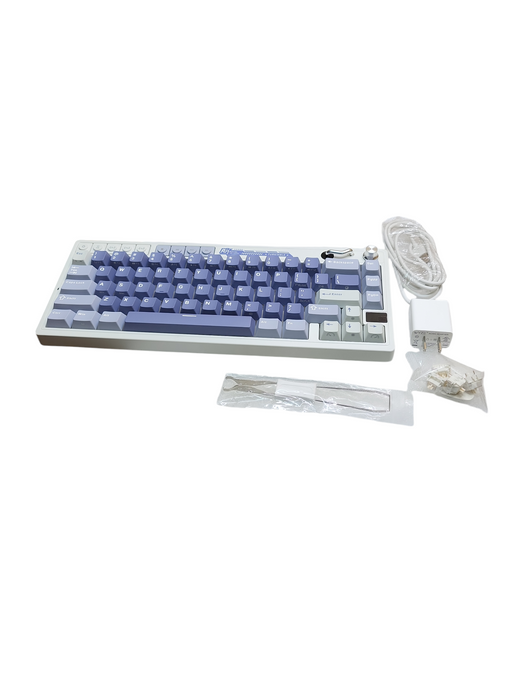 ROYAL KLUDGE M65 Wireless Mechanical Keyboard