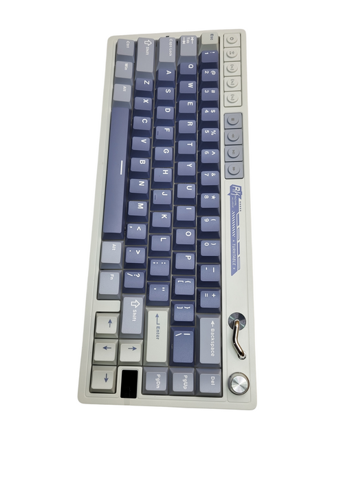 ROYAL KLUDGE M65 Wireless Mechanical Keyboard