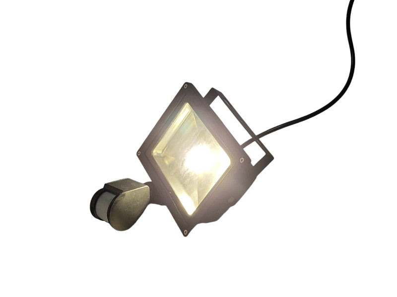 Sensor floodlight 20W outdoor motion sensing light, READ Q_