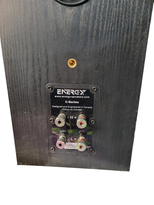 Energy C-200B-1 bookshelf speakers. Works. READ