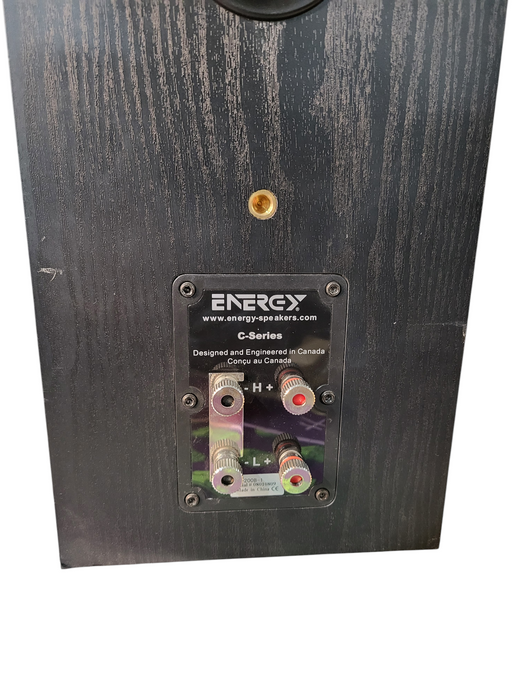 Energy C-200B-1 bookshelf speakers. Works. READ